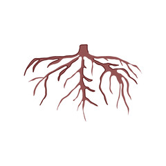 nature tree root cartoon. trunk logo, branch graphic, forest abstract nature tree root sign. isolated symbol vector illustration