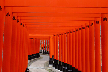 Fototapeta premium 【青森県】高山稲荷神社の千本鳥居