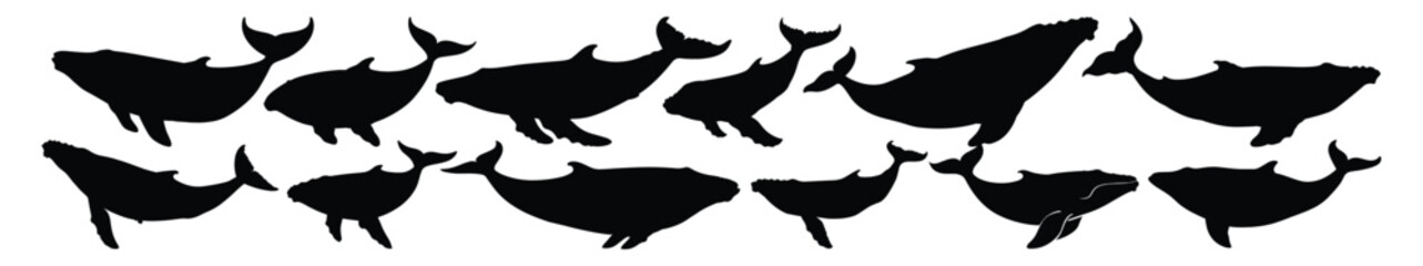 Whale silhouettes set, pack of vector silhouette design, isolated background