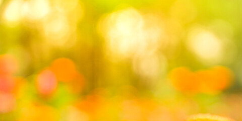 spring bokeh background