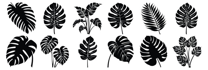 Leaf silhouettes set, pack of vector silhouette design, isolated background