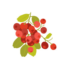 Fruits abstract elements. Food and healsy composition. Modern trendy Matisse minimal style. Fruits poster, invite. Vector arrangements for greeting card or invitation design