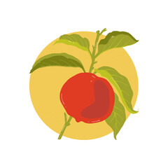 Fruits abstract elements. Food and healsy composition. Modern trendy Matisse minimal style. Fruits poster, invite. Vector arrangements for greeting card or invitation design