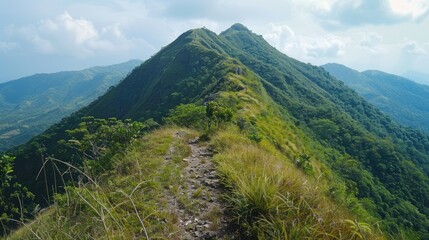 Naklejka premium View of the mountain on a long hiking trail to see