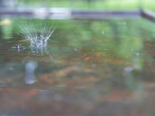 Wassertropfen bei Regen