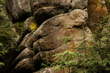 Steinformation Löwenkopf in der Felsenstadt in Adrspach