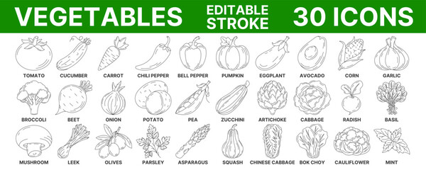 Vegetables and greens, vector minimal line icon set. Editable stroke. Vegetable icon set. Outline icons collection of veggies. Concept of farming, vegetarian food, proper nutrition, harvesting