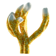 3D Rendering Coral on White © photosvac