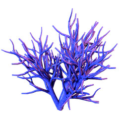 3D Rendering Coral on White © photosvac