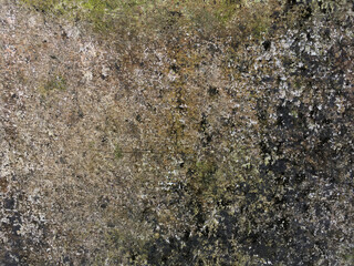 texture of old cement wall covered with moss