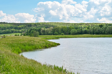Natur See Baum Enspannung