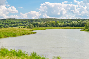 Natur See Baum Enspannung