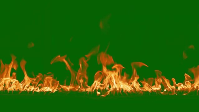 Abstract flames background. Fire burning, tongues of fire. Bright burning flames green chromakey background. Fire in slow motion. Wall of Real fire, abstract background. Super slow motion video