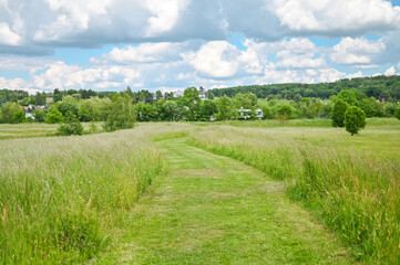 Natur See Baum Enspannung
