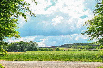 Natur See Baum Enspannung