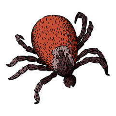 bite tick hand drawn. parasite animal, bed bedbug, forest encephalitis bite tick vector sketch. isolated color illustration