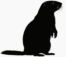 a black and white silhouette of a groundhog