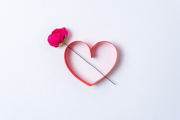 Red paper heart shape with flower on white background. Creative minimal love concept. Flat lay.
