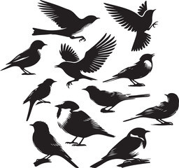 collection of birds