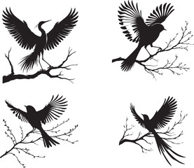set of silhouettes of birds