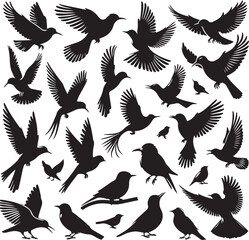 set of birds  silhouettes vector  white background.