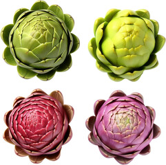 Fototapeta premium Top view of colorful artichokes in four variations green and purple. High-quality, isolated on white, perfect for kitchen and food themes.