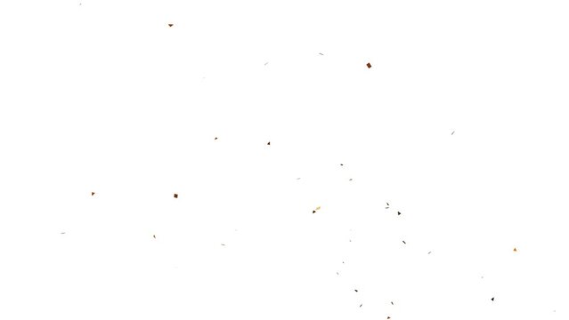 Gold  Confetti paper explosion, Animation of confetti paper explosion,confetti celebration, birthday party.
