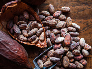 Close-up of brown cocoa beans and dry cacao pod  on a vintage wooden table.top view