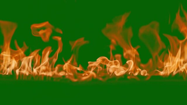 Abstract flames background. Fire burning, tongues of fire. Bright burning flames green chromakey background. Fire in slow motion. Wall of Real fire, abstract background. Super slow motion video