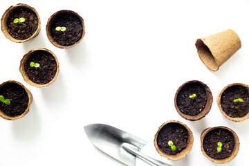 Set of peat pots with seedlings. Gardening and planting at home