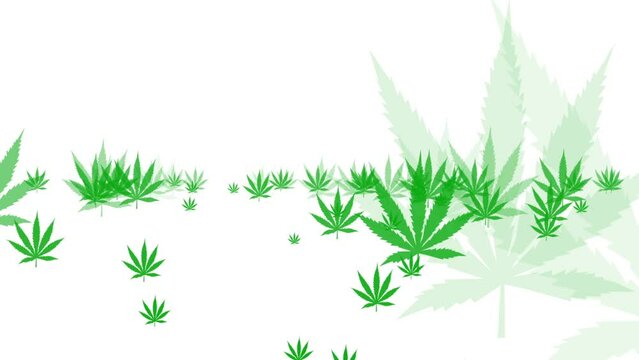 Cannabis Leaves Pattern. Marijuana leaf pattern of cannabis leaves on a bright yellow background. Perfect for projects related to wellness, nature, and alternative lifestyles	
