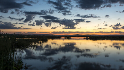 Fototapeta premium The banner is a beautiful sunset on the background of a pond with vegetation in the rays of the setting sun.