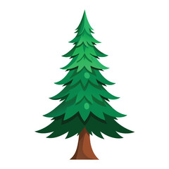 fir tree white background