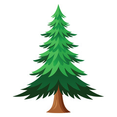 Obraz premium christmas tree isolated on white