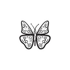 Beautiful realistic butterfly with dots in black isolated on white background. Hand drawn vector sketch illustration in doodle engraved line art vintage style. Tattoo design, lightness, flying insect.