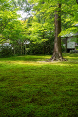日本庭園