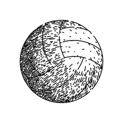 net volleyball ball hand drawn. silhouette symbol, game indoor, player block net volleyball ball vector sketch. isolated black illustration