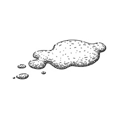splash water puddle hand drawn. drop spill, isolated rain, wet splatter splash water puddle vector sketch. isolated black illustration
