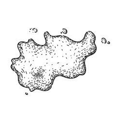 drop water puddle hand drawn. spill isolated, rain wet, splatter pool drop water puddle vector sketch. isolated black illustration