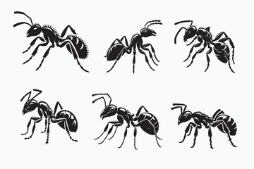 Ant silhouette vector illustration.eps