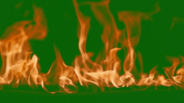 Abstract flames background. Fire burning, tongues of fire. Bright burning flames green chromakey background. Fire in slow motion. Wall of Real fire, abstract background. Super slow motion video