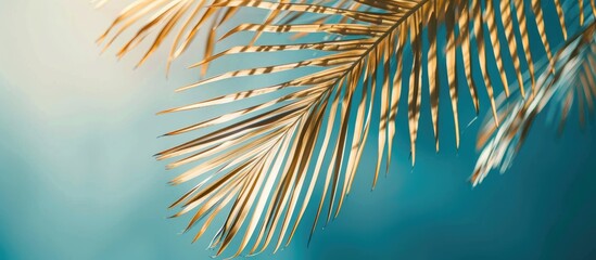 Engaging and Natural Title: Blue abstract background with golden palm leaf pattern texture for tropical summer graphic design. Vintage color style with copy space. © Lasvu