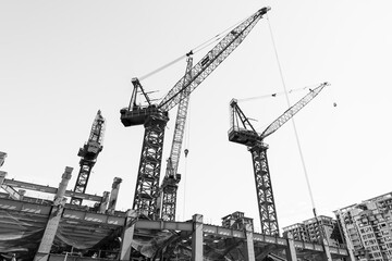 Black and white photo, View of cranes above steel structure for building construction in Taiwan.