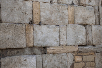 The fortress wall. Sparrows on the ancient fortress wall. The wall is made of large stone blocks. Large stone blocks are prone to erosion.