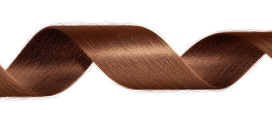 3d render. Lustrous curly brunette hair strand isolated on white background. Close-up of rich beautiful healthy chestnut-colored hair spiral curl, showcasing the smooth texture and vibrant shine