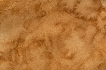 aged paper texture colored with liquid coffee