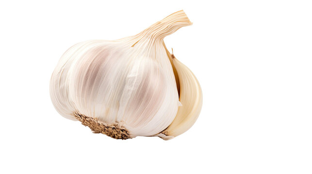 Photograph of a single clove of garlic