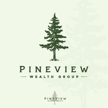 Hand drawn vintage retro evergreen forest pine cedar spruce cypress hemlock tree logo design vector