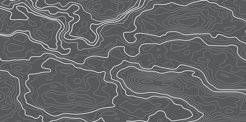 Obraz premium Abstract background with a topography contour map design