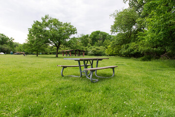 Park Picnic table bench rest relax outdoors. Benches and tables on green grass in recreational area.